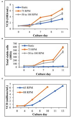 Enabling Allogeneic T Cell-Based Therapies: Scalable Stirred-Tank Bioreactor Mediated Manufacturing
